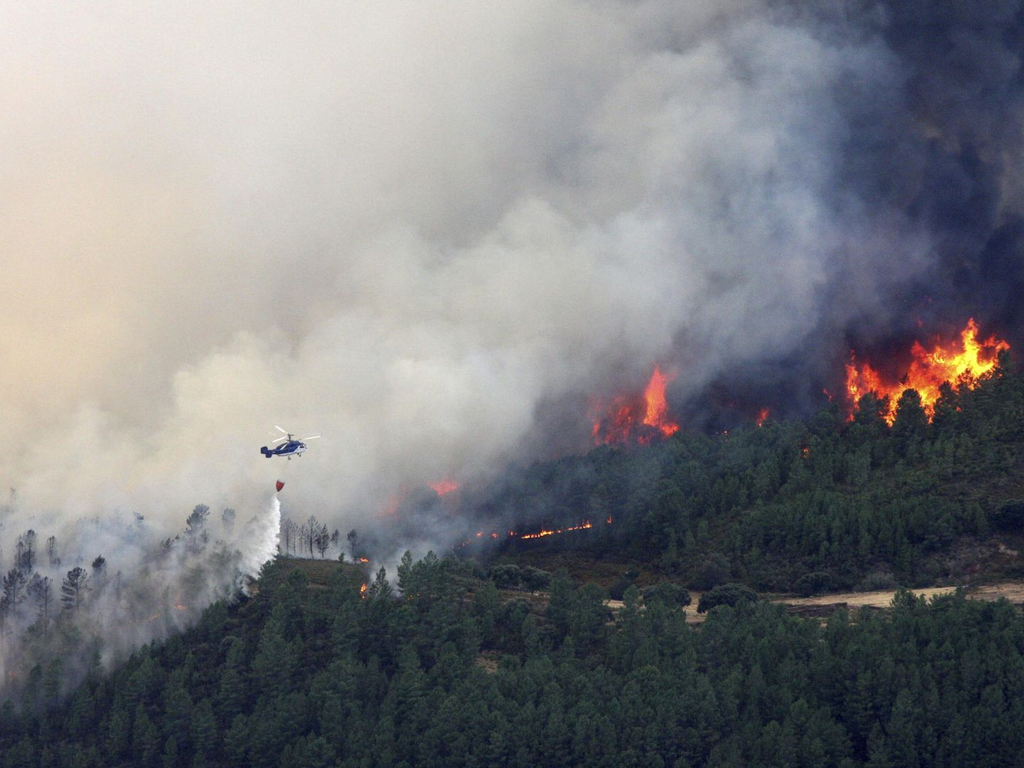 Incendio forestal en Acebo (Cáceres). (Efe)