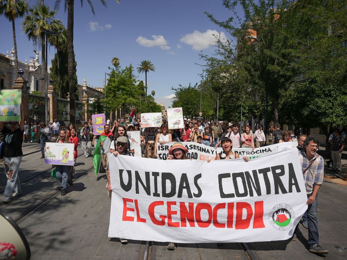 Foto: Protestas en la Universidad de Sevilla contra Israel. (Europa Press/María José López) 