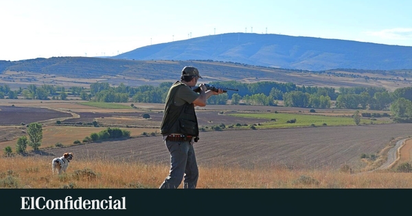 A fuego abierto por el plomo: las balas que enfrentan a científicos, cazadores y Gobierno