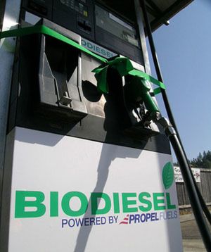Endesa renuncia a encabezar el gran grupo español de biocarburantes