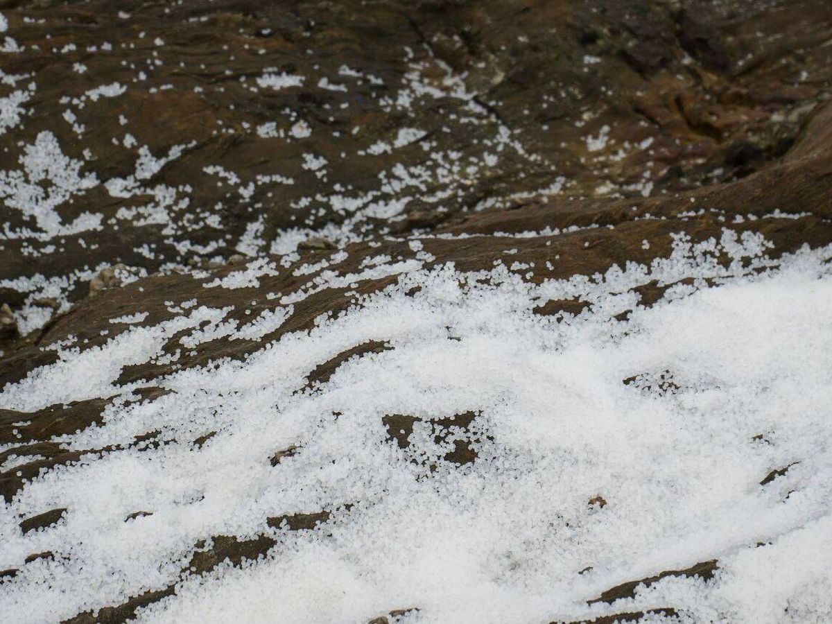Foto: 'Pellets' amontonados en las rocas de la ría de Muros-Noia. (Ecologistas en Acción)