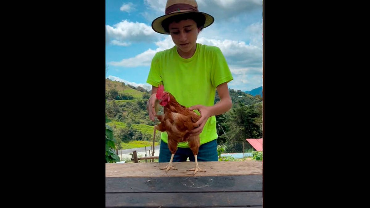 La viral respuesta de un granjero a una joven vegana
