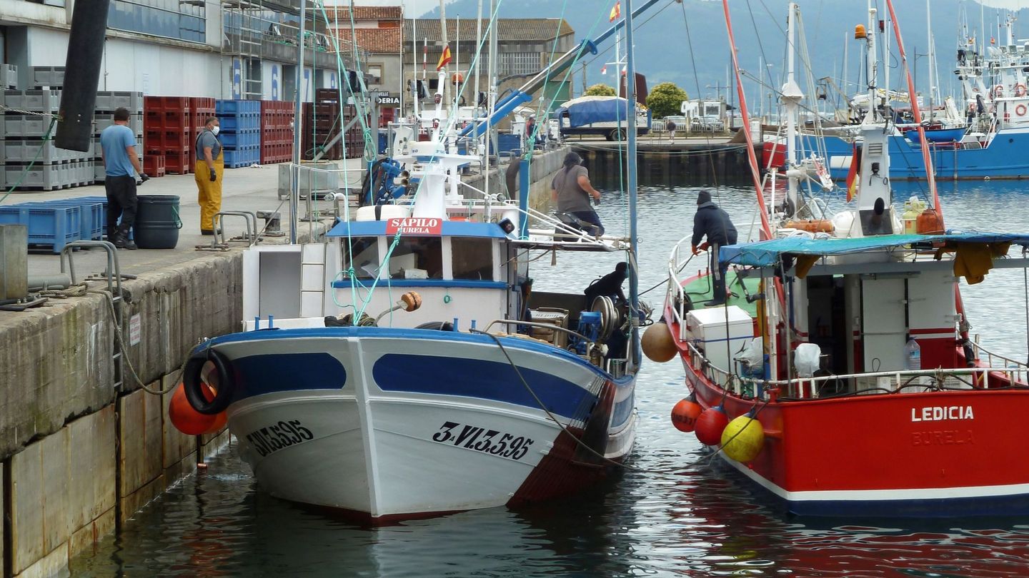 Embarcaciones gallegas que han desembarcado en el puerto de Santoña y en seguimiento por el covid. (EFE)