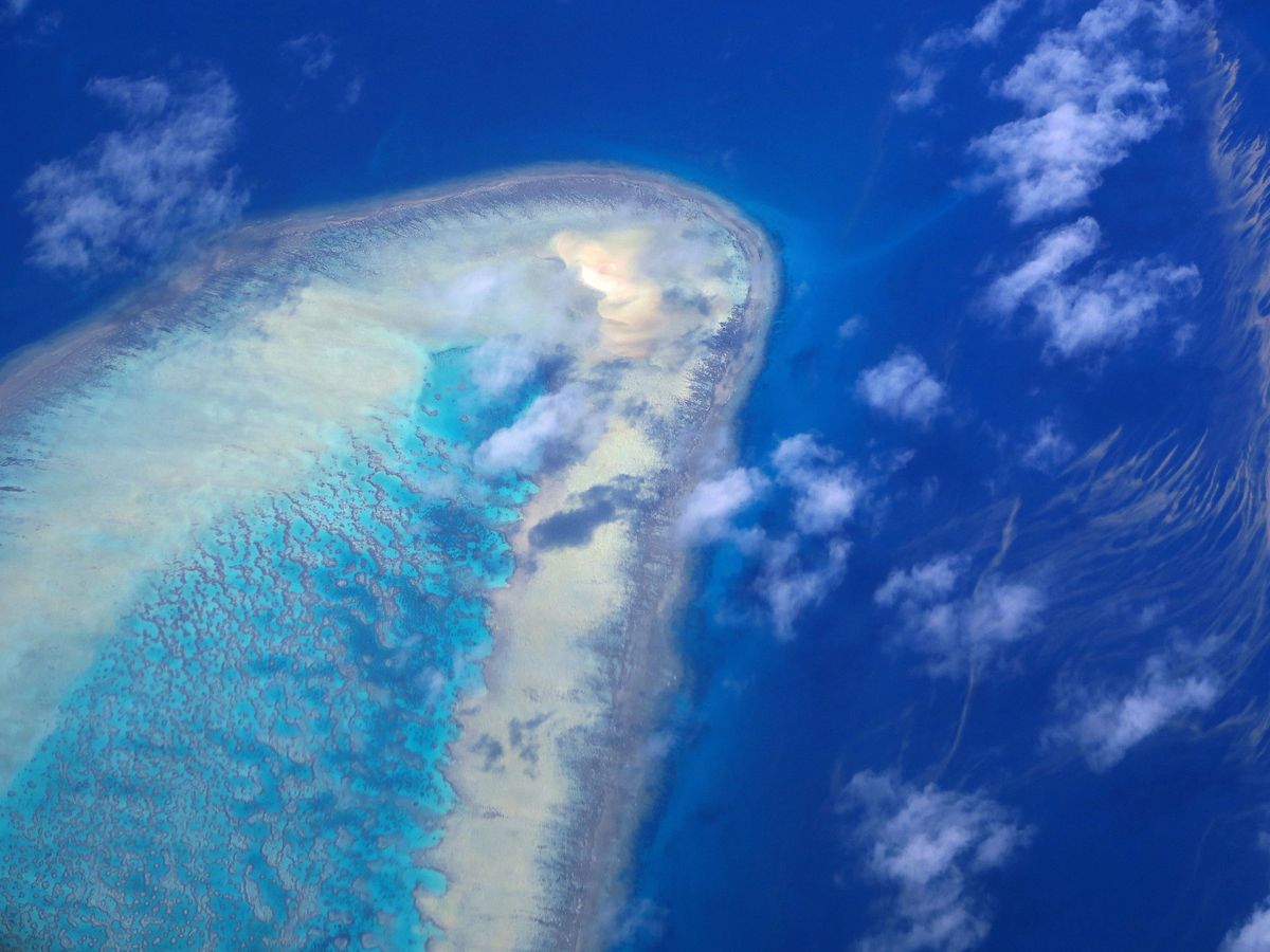 Foto: Se vuelve a considerar que la Gran Barrera de Coral no está 'en peligro'. Reuters