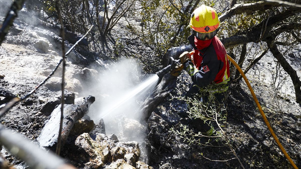 Controlado el incendio de Altea (Alicante) que obliga a evacuar una zona residencial