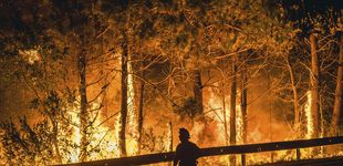Post de Incendios forestales: España registra 37 en lo que va de año, la peor cifra de la última década 