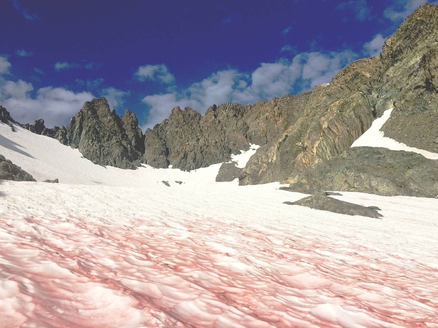 Coloración de la nieve en los Alpes. 