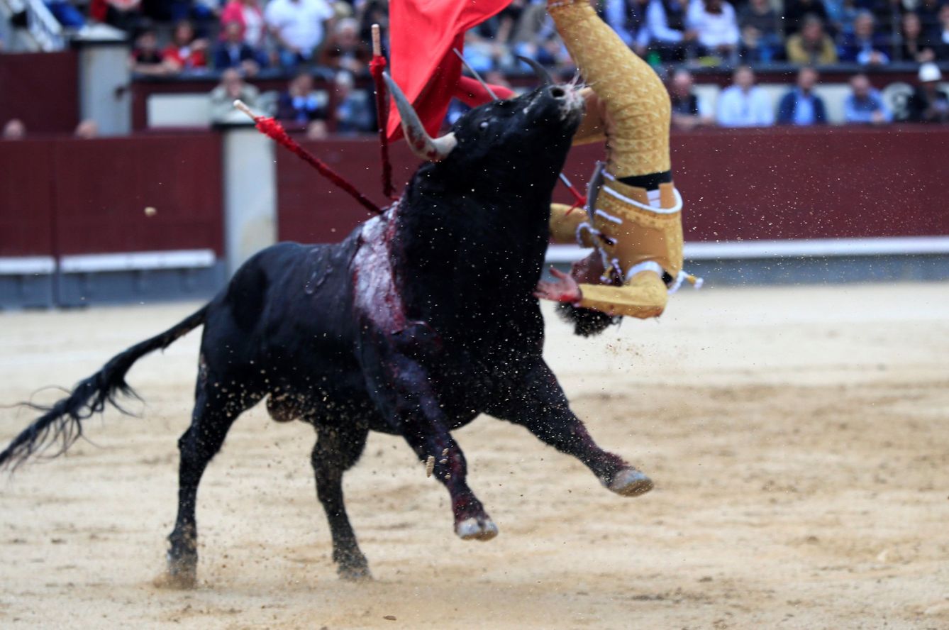 El diestro Juan del Álamo sufre una cogida en Las Ventas. (EFE)