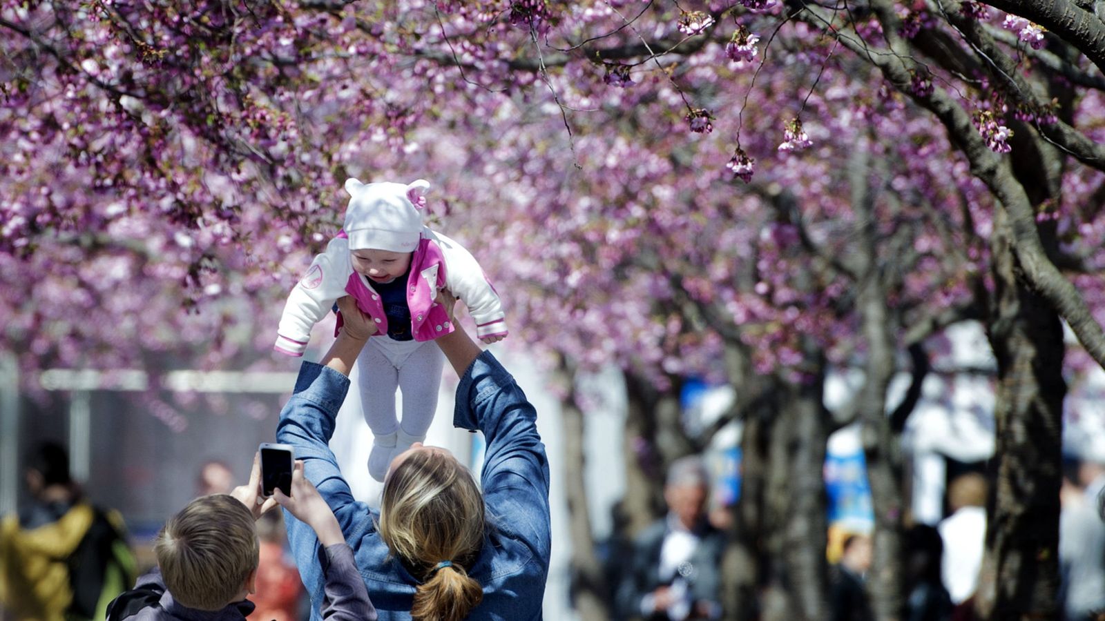 Foto: Un joven fotografía a un bebé junto a su familia en el parque Kungstradgarden, en el centro de Estocolmo (Reuters).