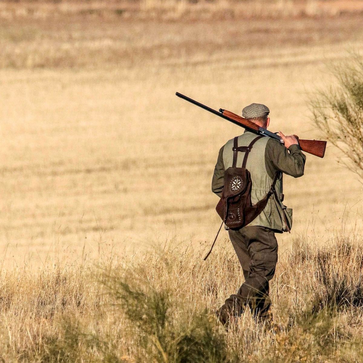 Kahles, el mejor visor de caza según la revista de la Federación de Caza de  Castilla y León - Caza