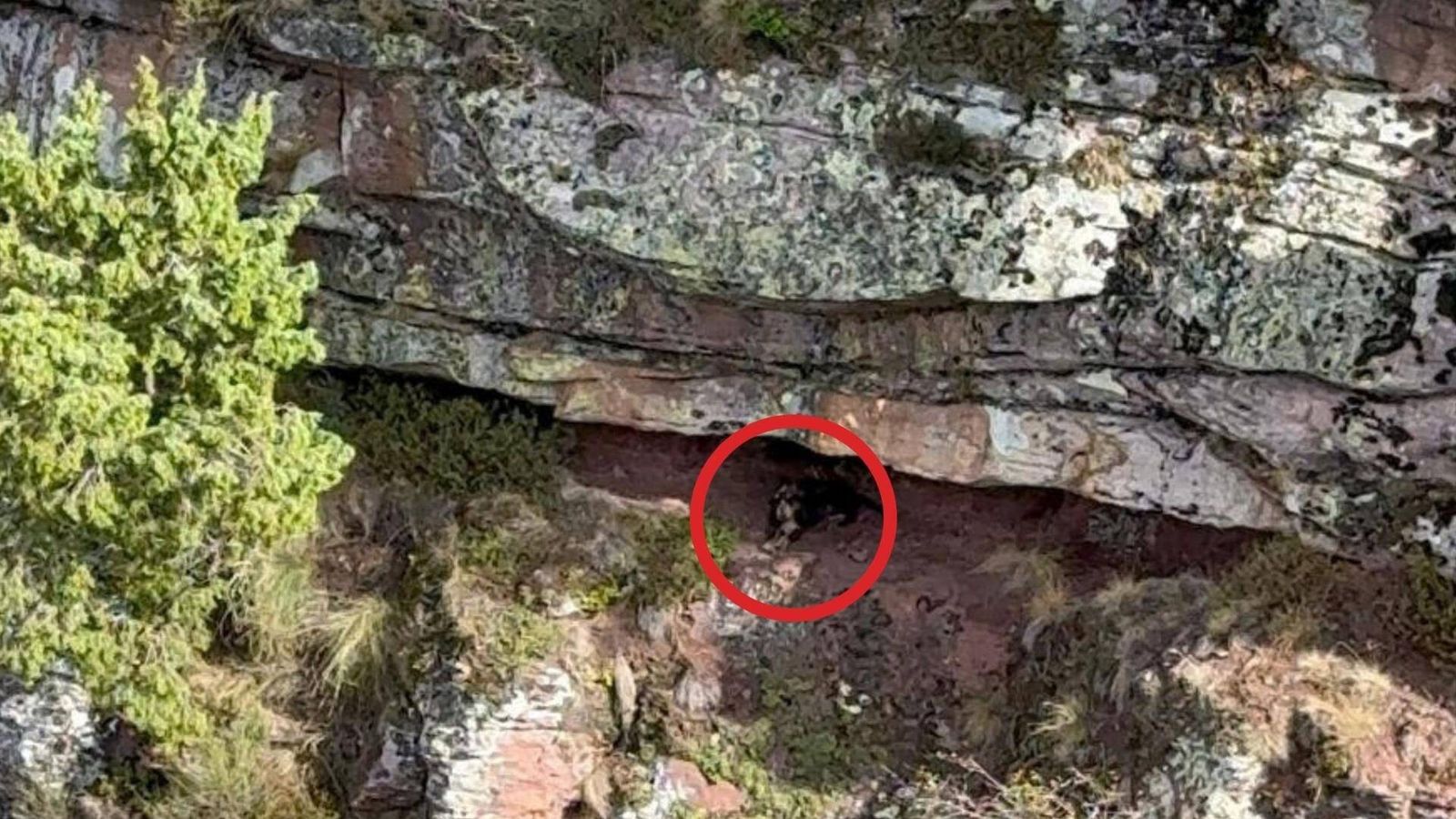 Rescatan en helicóptero a un perro atrapado en una zona rocosa de difícil acceso en Lebeña (Cantabria)