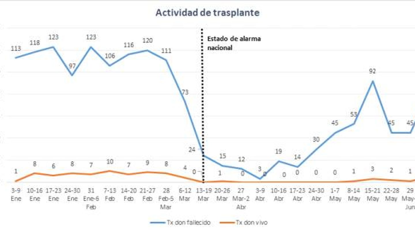 Evolución de trasplantes durante este año en España. (ONT)