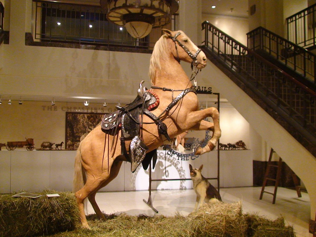 Foto: Fotografía del caballo Trigger, compañero fiel del cowboy Roy Rogers. (EFE)