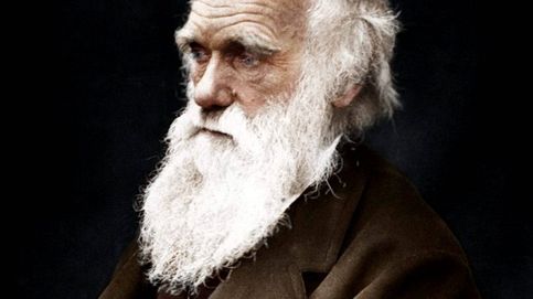 El día que Charles Darwin quiso descubrir por qué las morenas ligan más