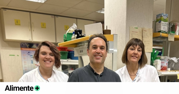 High-Fat Diet & Breast Cancer Metastasis: The Study - News Directory 3