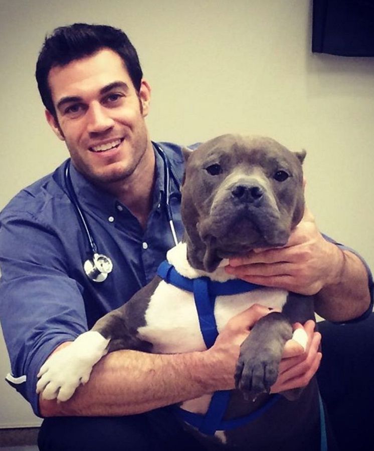 Foto: El veterinario Evan Antin, junto a un Pit Bull (Instagram/dr.evanantin)