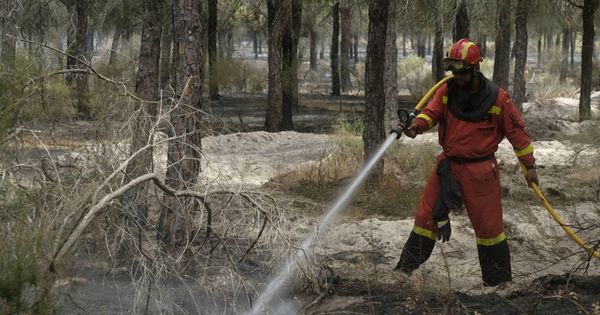 Foto:  Un hombre trabaja en la extinción del incendio, en Moguer. (EFE)