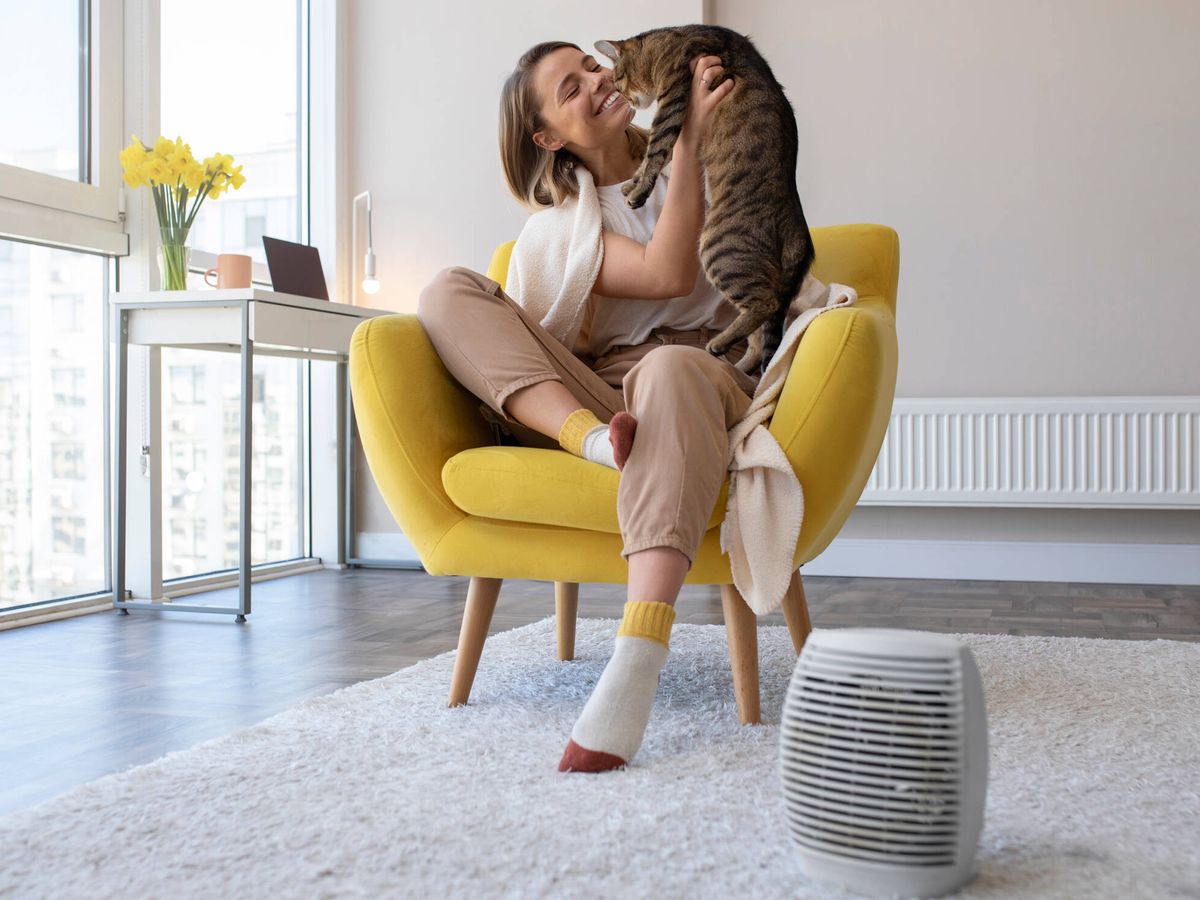 Los 10 mejores calefactores: en qué debes fijarte para hacer una buena  elección