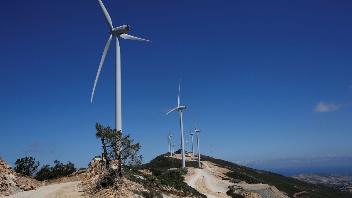 Blue Tree supera los 1.000 MW de renovables bajo gestión