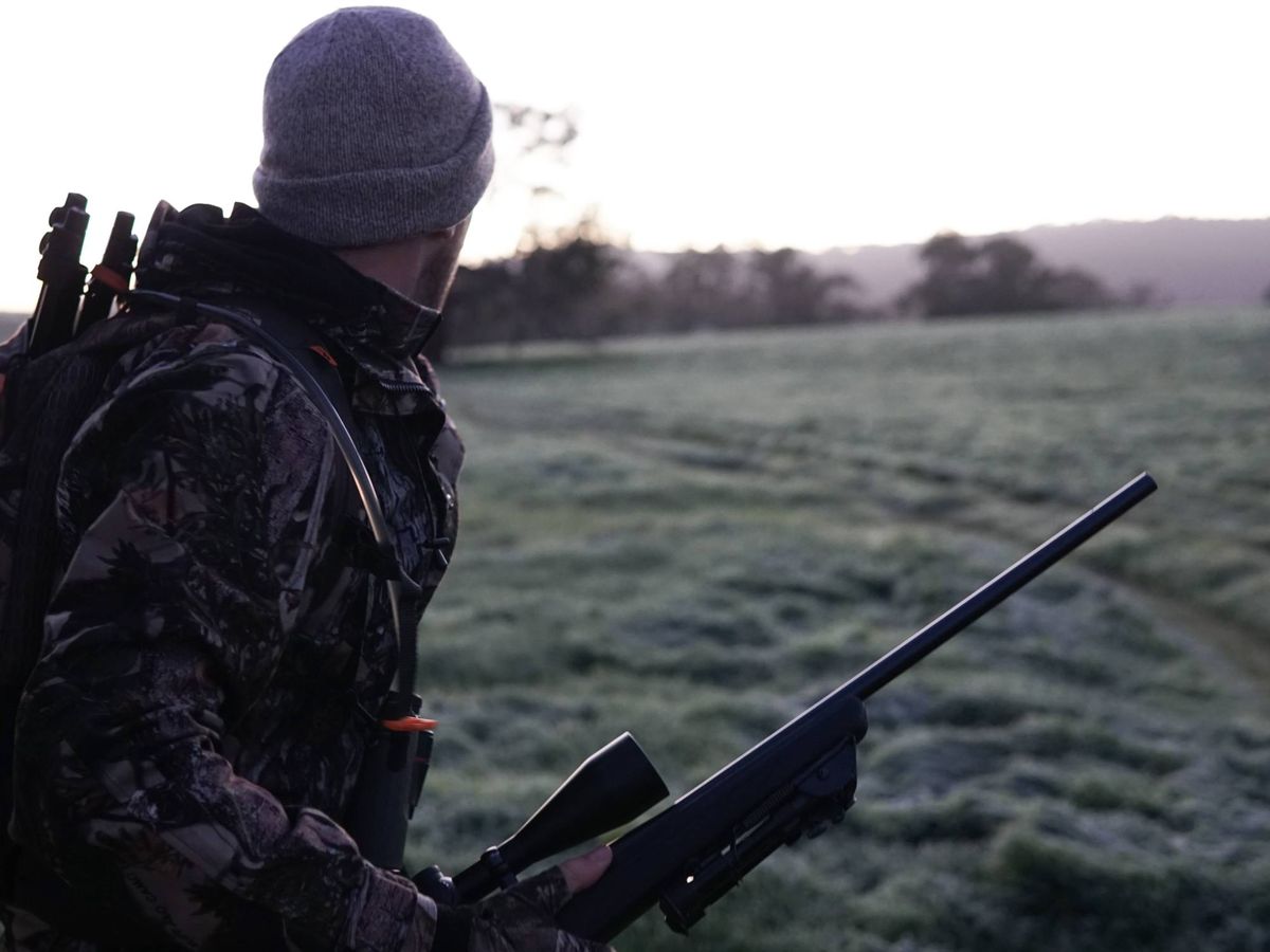 Foto: El hombre, de 65 años, estaba cazando jabalíes. Foto: Pexels