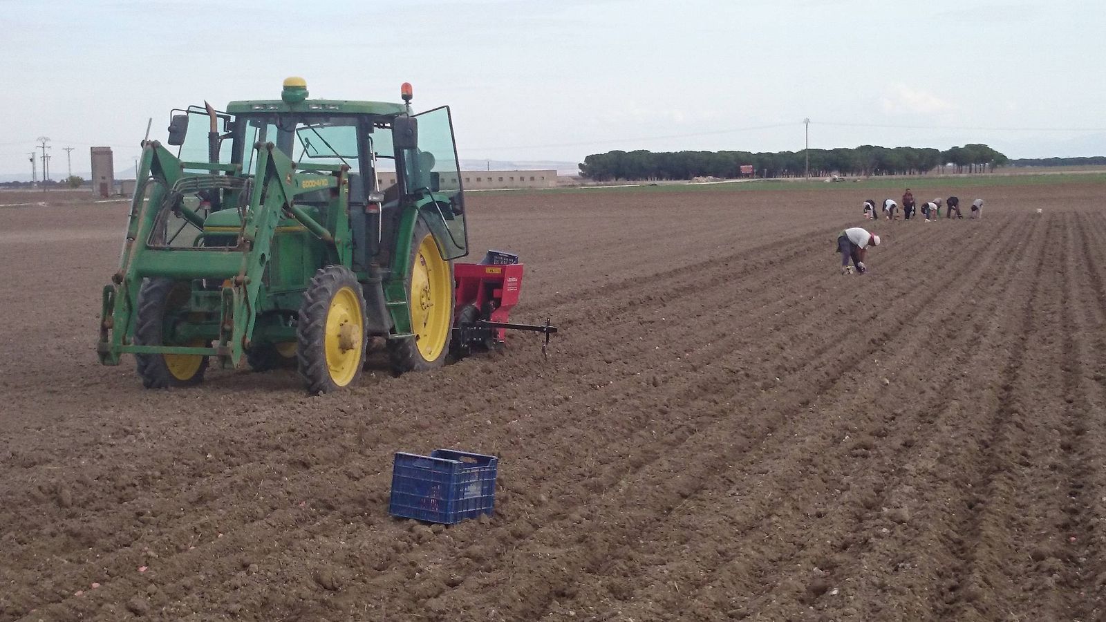 Foto: Los agricultores españoles contratan a búlgaros, senegaleses o marroquíes a través de ETTs. (David García)