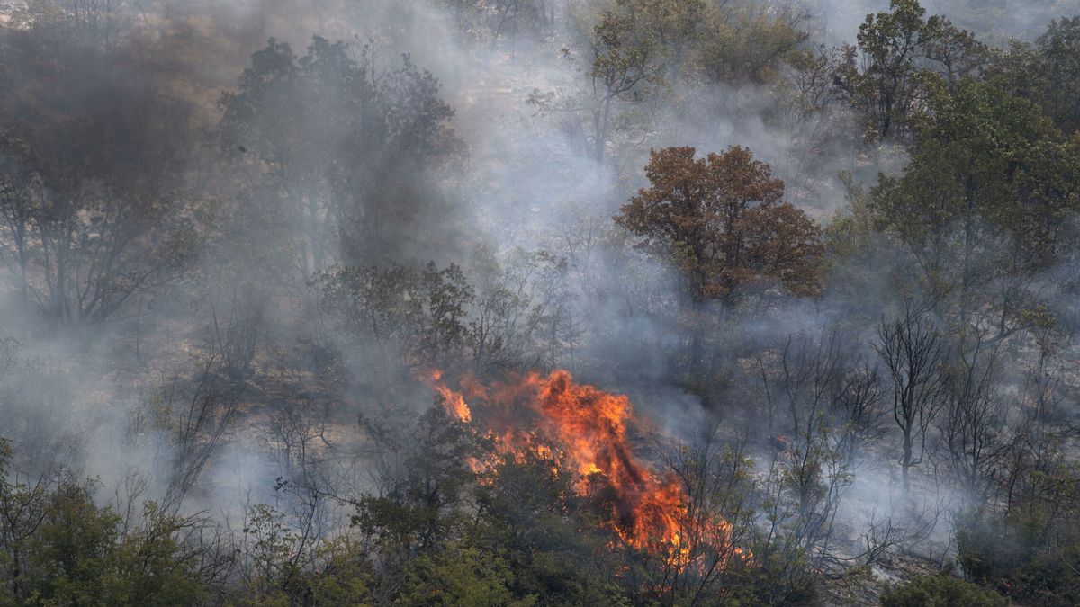 Muchas zonas ya quemadas volverán a arder este verano: sabemos cuáles y por qué 