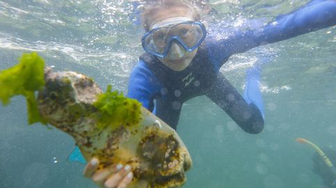 Más allá de las 'islas de basura': la terrible contaminación que ya afecta a la vida submarina