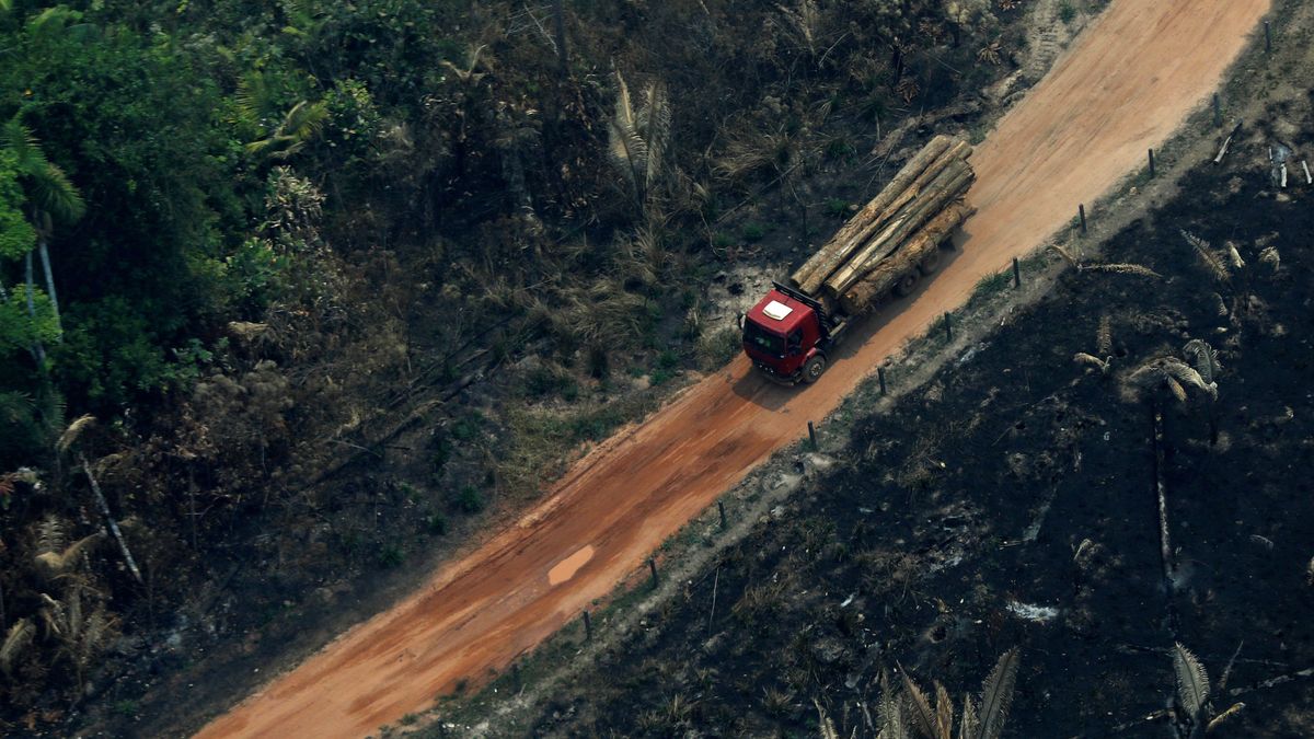La deforestación en la Amazonía brasileña creció un 222 % en agosto