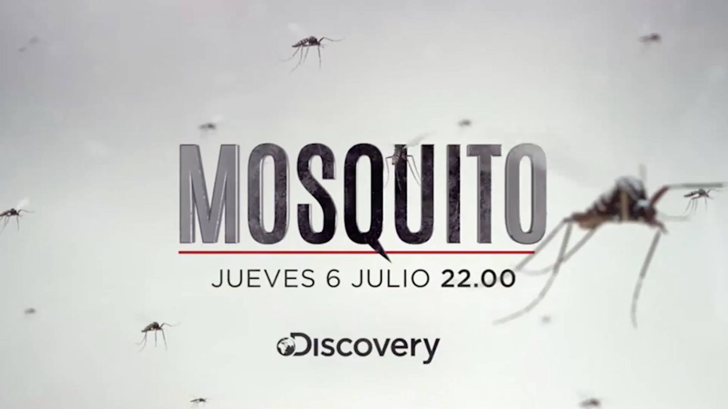 Imagen promocional de 'Mosquito'.