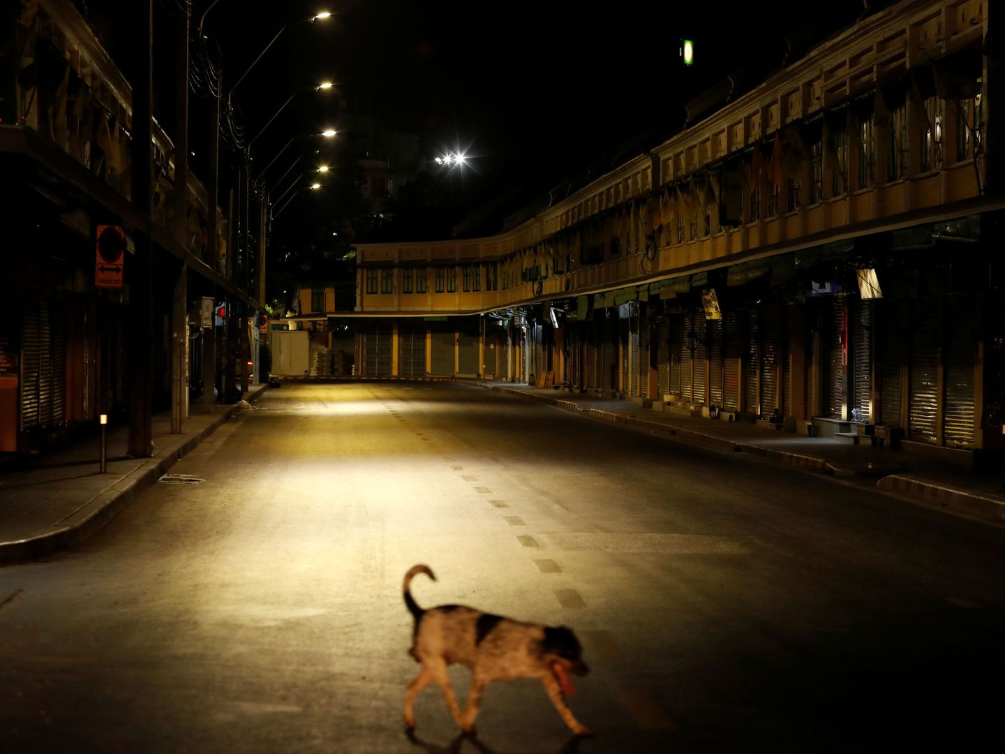 Un perro pasea por una solitaria calle tailandesa. (Reuters)