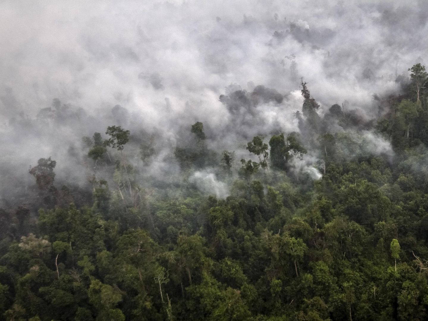 Un bosque ardiendo en Sumatra. (Reuters)