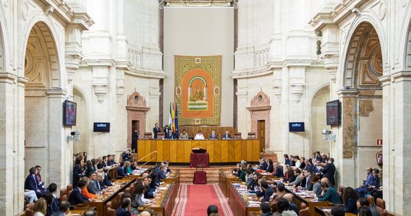 Foto: Vista general de la sala de plenos del Parlamento de Andalucía en Sevilla. (EFE)