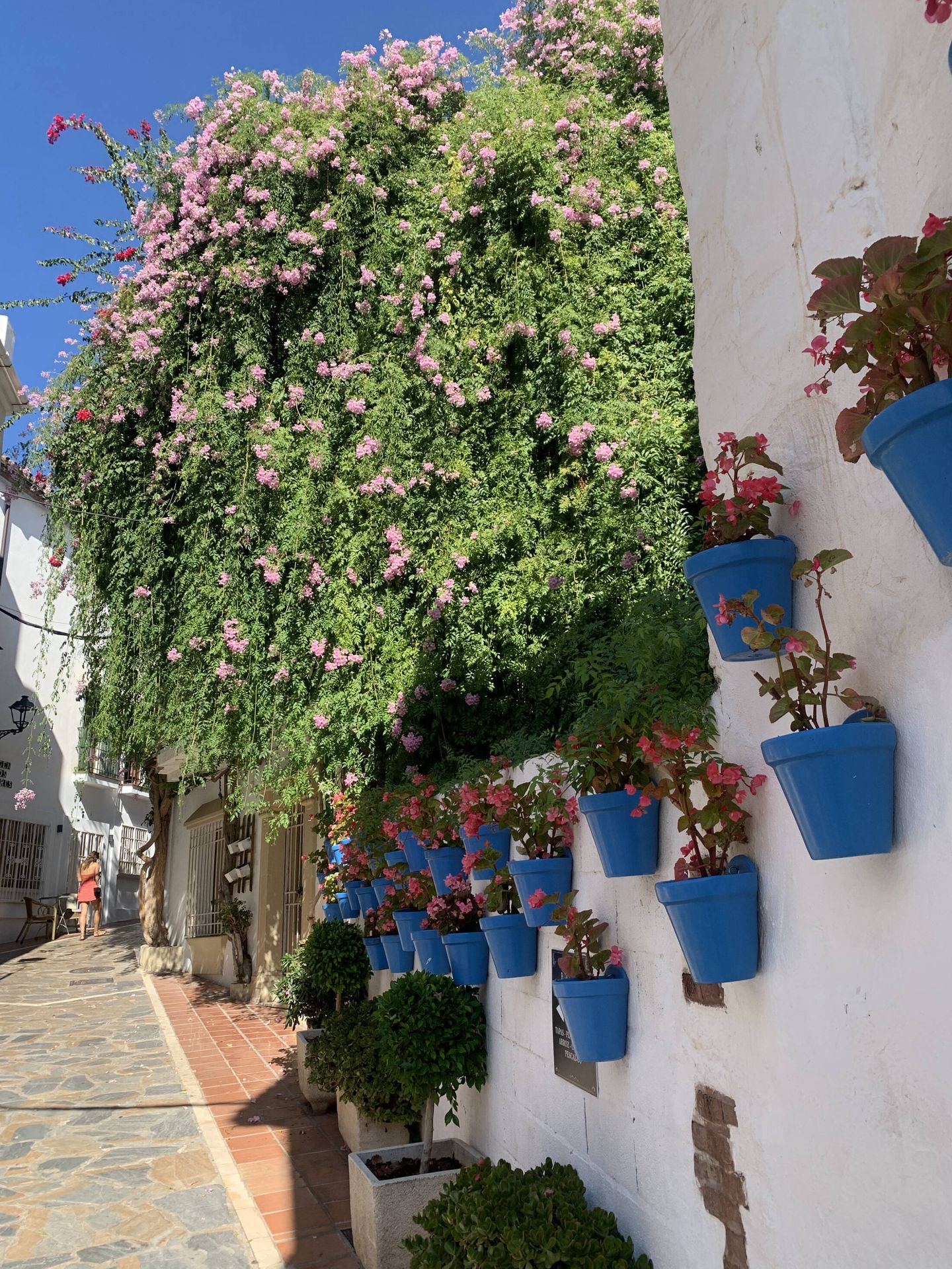 Las flores no pueden faltar en las calles de Marbella. (Cortesía)