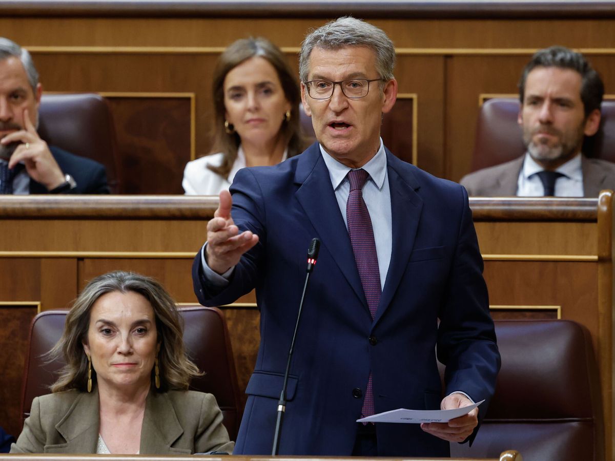 Foto: El líder del PP, Alberto Núñez Feijóo, en el Congreso de los Diputados. (EFE/Mariscal)