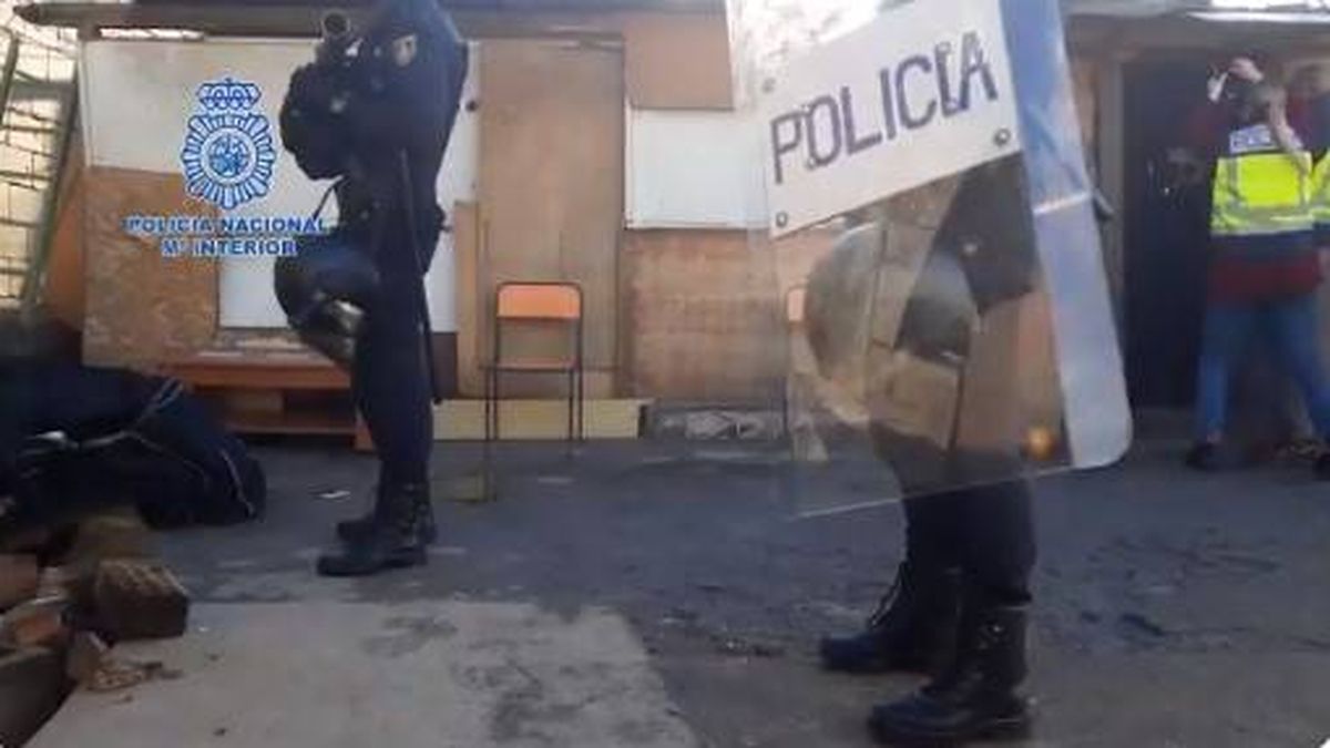 17.500 plantas de marihuana y 44 arrestos: golpe policial al narco en la Cañada Real