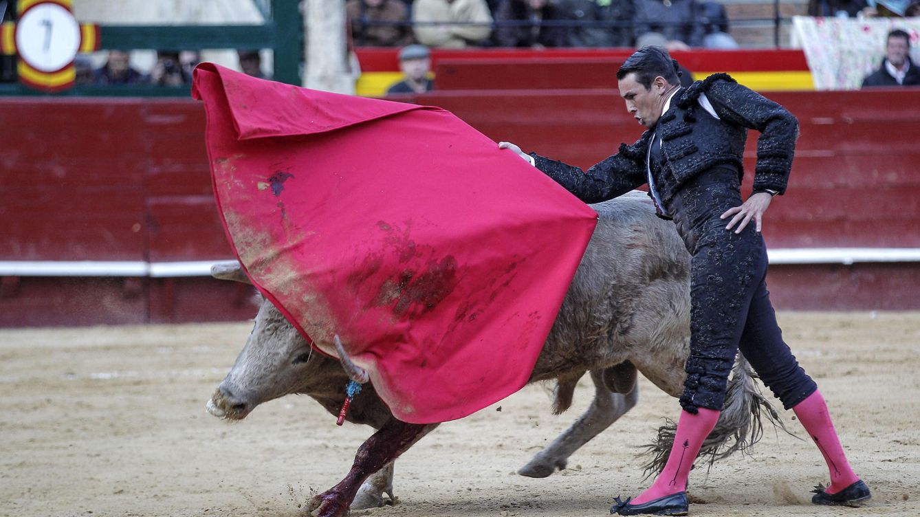 Foto: José María Manzanares torea uno de los toros de la ganadería de Juan Pedro Domecq durante la Feria de Fallas. (EFE)