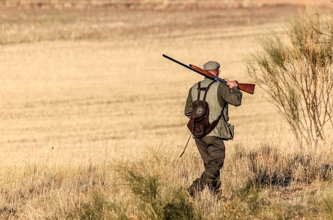 Un cazador recorre los campos. (EFE)