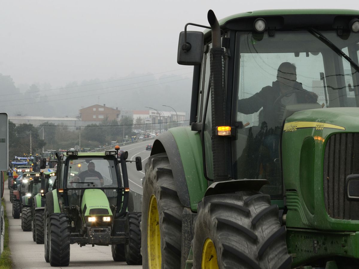 Foto: ¿Qué es la PAC? Esta es la ley por la que se protesta en las huelgas de agricultores. (Rosa Veiga / Europa Press))