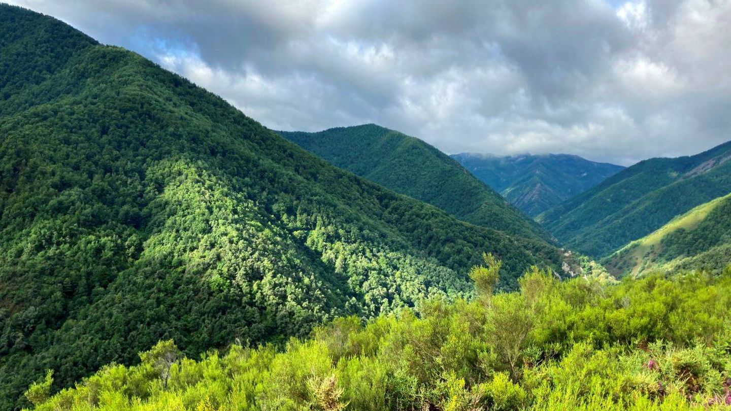 Reserva Natural de Muniellos, en Asturias. (Jose Luis Gallego)