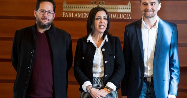 Foto: García (i), junto a la presidenta del Parlamento andaluz, Marta Bosquet, y el exlíder de IU (d). (EFE)