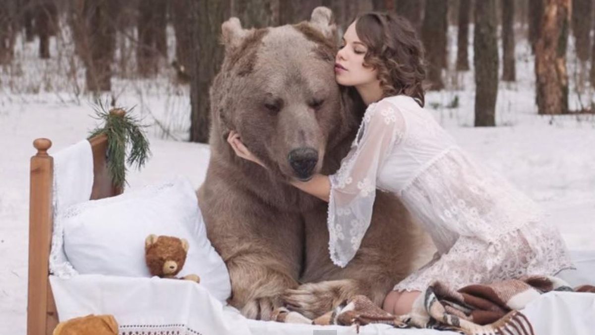 YouTube: un oso pardo cae rendido ante los encantos de dos modelos rusas