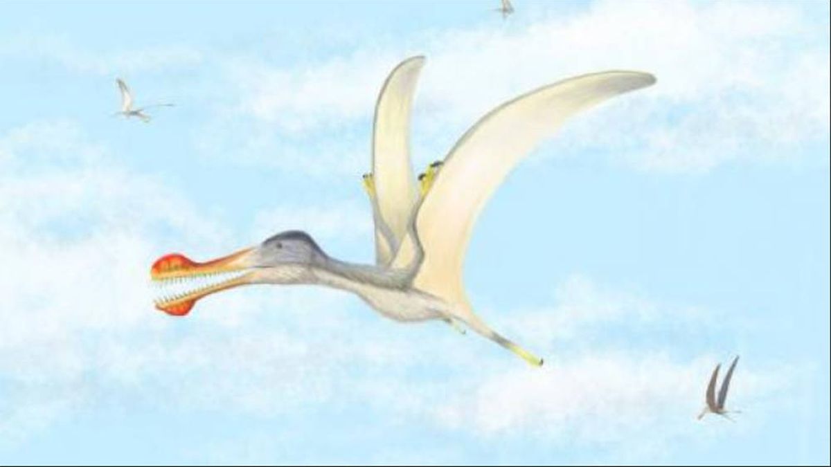 Hallan tres nuevas especies de reptiles voladores de hace 100 millones de años