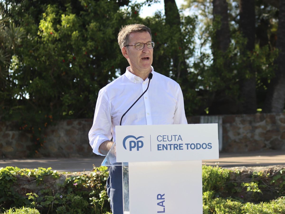 Foto: El líder del PP, Alberto Núñez Feijóo. (EFE/Reduan Dris)