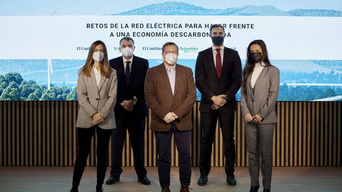 Especulación, 'cuellos de botella'... España, ante el reto de lograr una red eléctrica 100% renovable