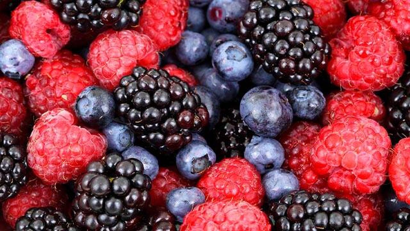 Los frutos rojos tienen muy poco azúcar. (Pixabay)