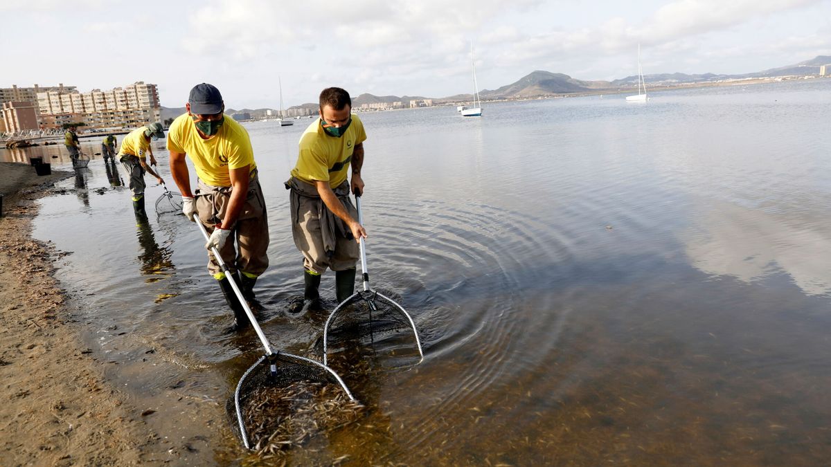 López Miras lamenta que el Gobierno "no cambie de actitud" sobre el Mar Menor
