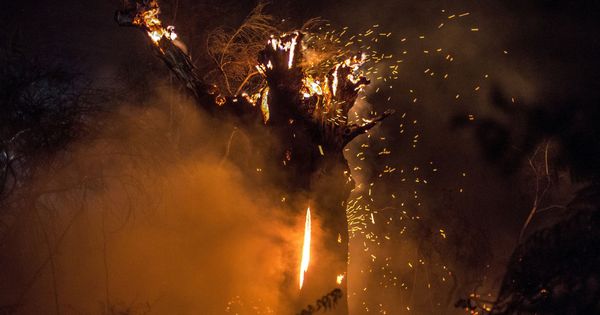 Foto: Incendio forestal de Vilamarín, Ourense (EFE)
