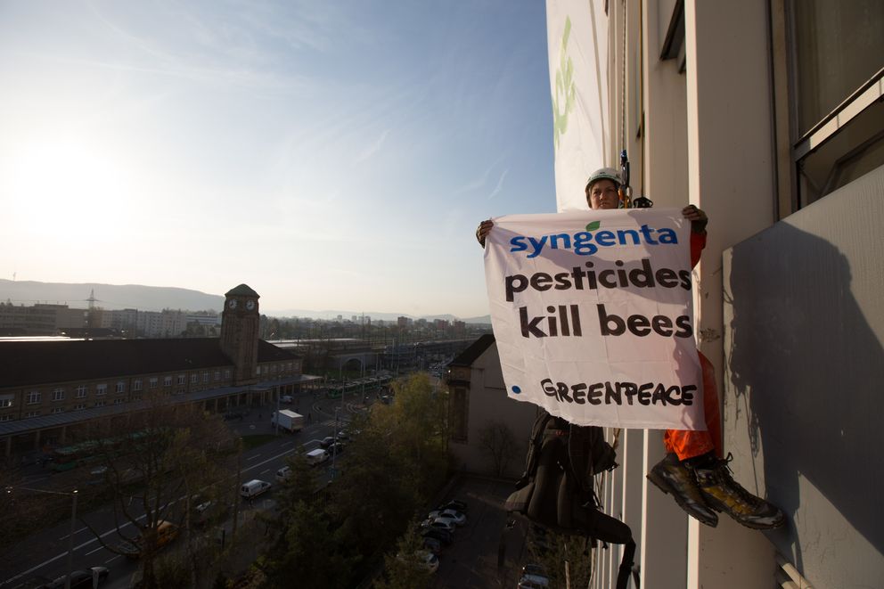 Acción de protesta en la sede de Syngenta (Flickr: usuario @greenpeace_switzerland)