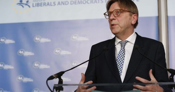 Foto: Guy Verhofstadt, líder de los liberales en el Parlamento Europeo en una foto de archivo. (EFE)