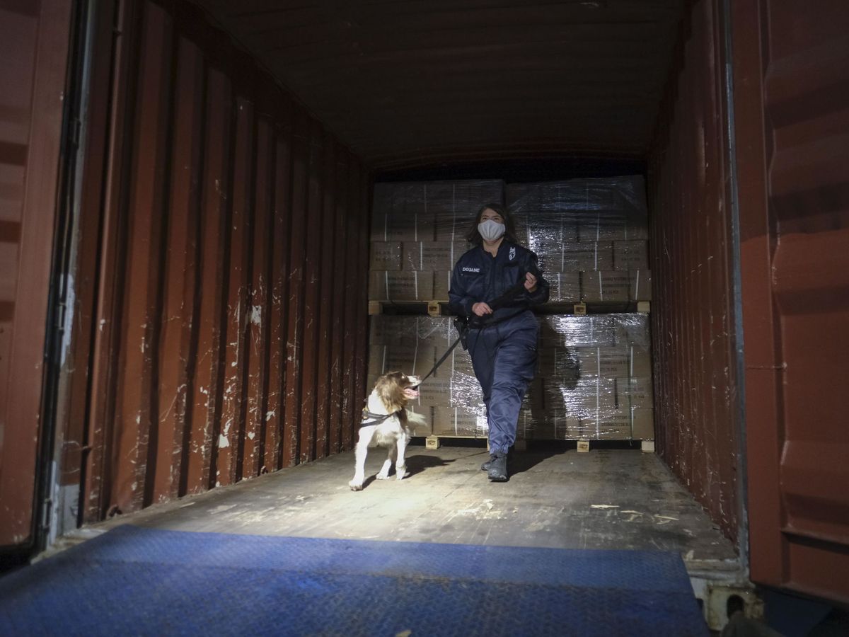 Foto: Autoridades belgas rastrean un contenedor en el puerto de Amberes. (EFE/Olivier Hoslet)